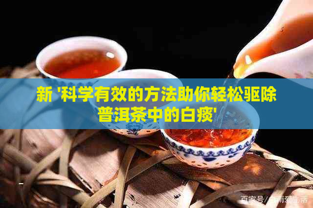 新 '科学有效的方法助你轻松驱除普洱茶中的白痰'