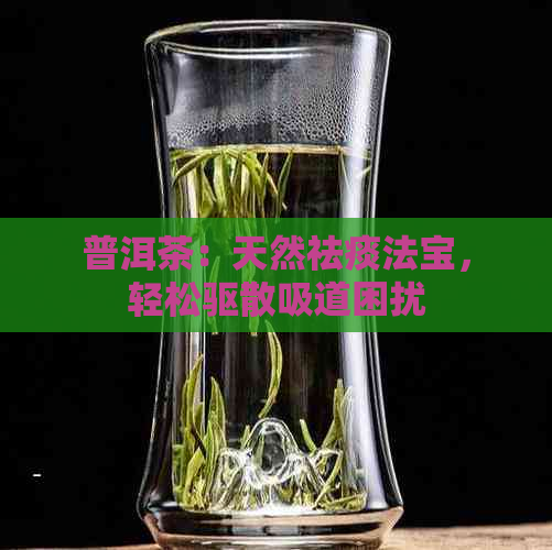 普洱茶：天然祛痰法宝，轻松驱散吸道困扰