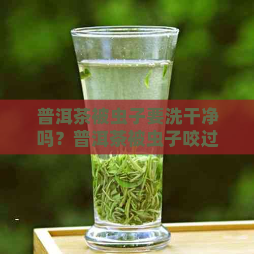 普洱茶被虫子要洗干净吗？普洱茶被虫子咬过还能用吗？