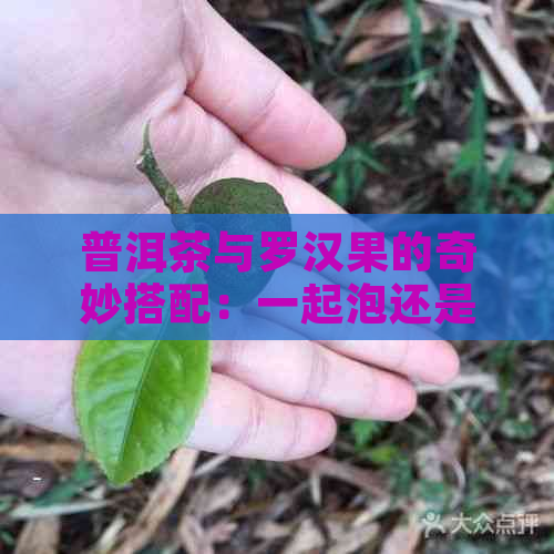 普洱茶与罗汉果的奇妙搭配：一起泡还是分开煮？