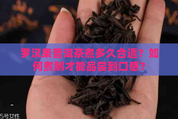 罗汉果普洱茶煮多久合适？如何煮制才能品尝到口感？