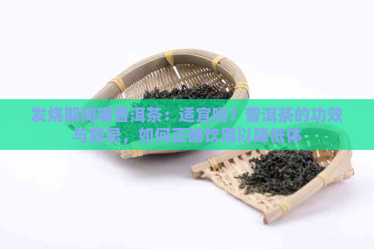 发烧期间喝普洱茶：适宜吗？普洱茶的功效与禁忌，如何正确饮用以降低体