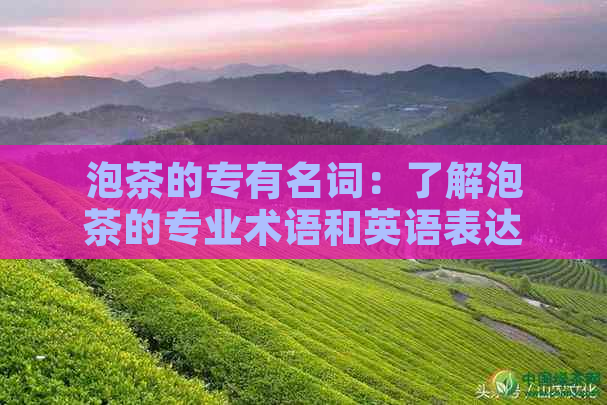 泡茶的专有名词：了解泡茶的专业术语和英语表达