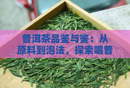 普洱茶品鉴与鉴：从原料到泡法，探索喝普洱茶的境界