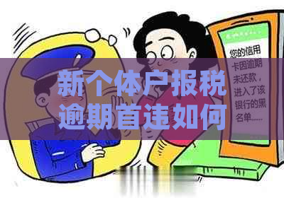 新个体户报税逾期首违如何处理及相关政策解读