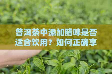 普洱茶中添加腊味是否适合饮用？如何正确享受带有腊味的普洱茶？