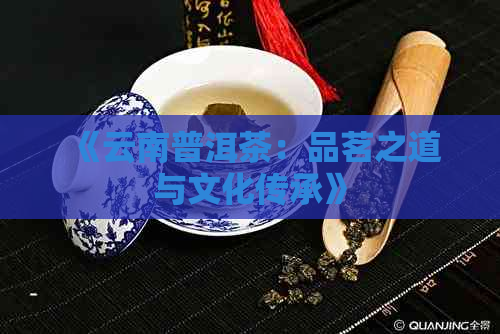 《云南普洱茶：品茗之道与文化传承》