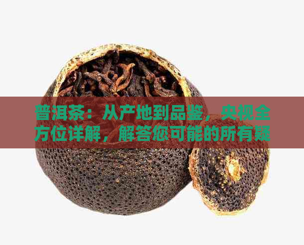 普洱茶：从产地到品鉴，央视全方位详解，解答您可能的所有疑问