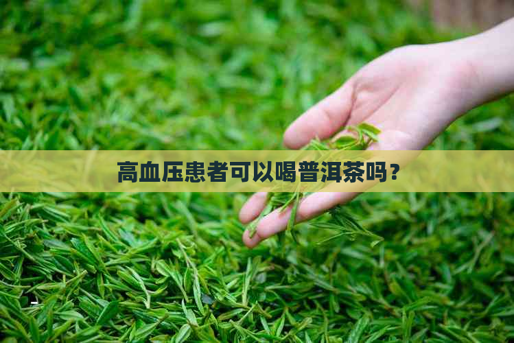 高血压患者可以喝普洱茶吗？