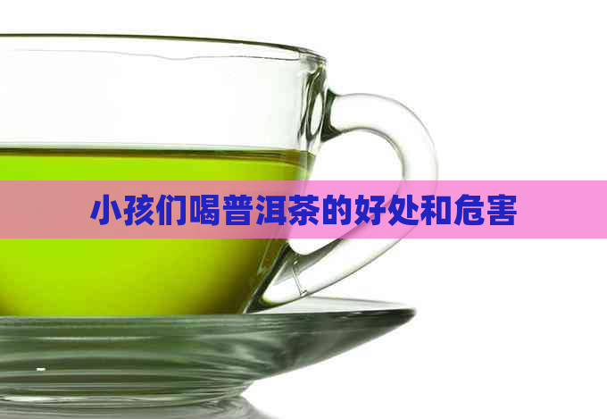 小孩们喝普洱茶的好处和危害