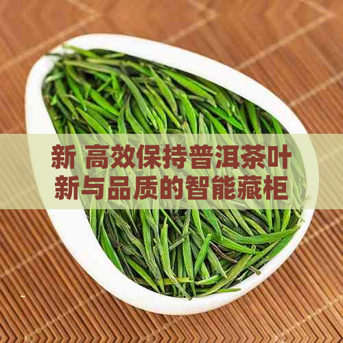 新 高效保持普洱茶叶新与品质的智能藏柜