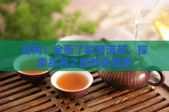 官网：全面了解普洱茶，探索品茗之旅的极指南