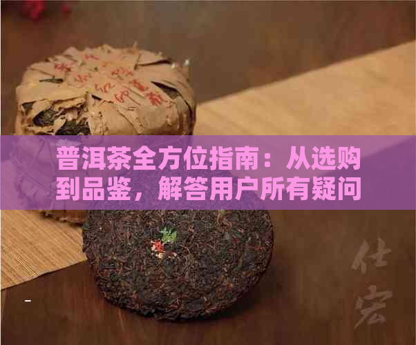 普洱茶全方位指南：从选购到品鉴，解答用户所有疑问的专业网站