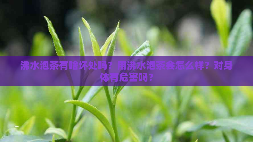 沸水泡茶有啥坏处吗？用沸水泡茶会怎么样？对身体有危害吗？