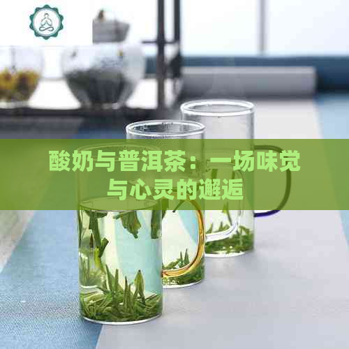 酸奶与普洱茶：一场味觉与心灵的邂逅