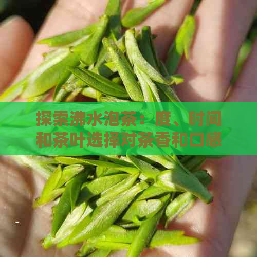 探索沸水泡茶：度、时间和茶叶选择对茶香和口感的影响