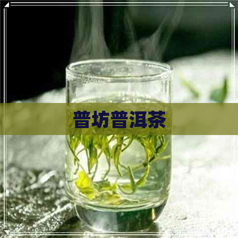 普坊普洱茶