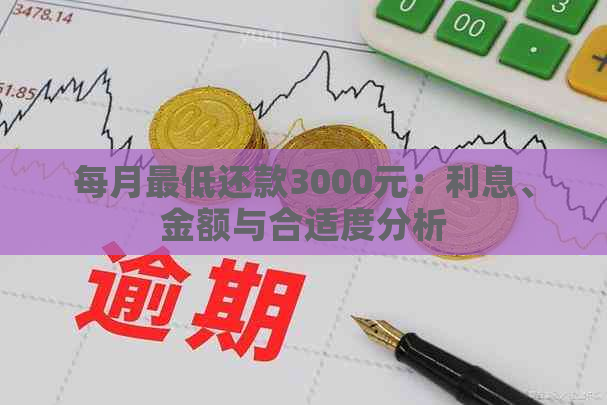 每月更低还款3000元：利息、金额与合适度分析