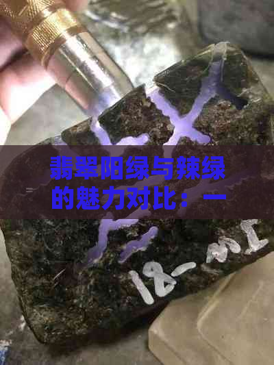 翡翠阳绿与辣绿的魅力对比：一种新的颜色解析