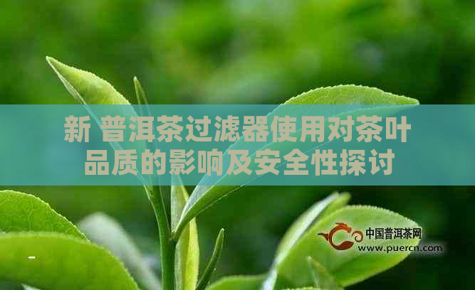 新 普洱茶过滤器使用对茶叶品质的影响及安全性探讨