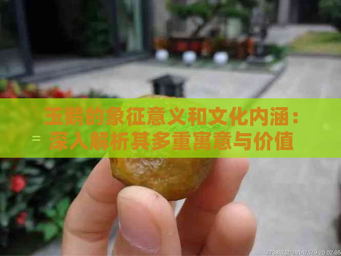 玉鹅的象征意义和文化内涵：深入解析其多重寓意与价值