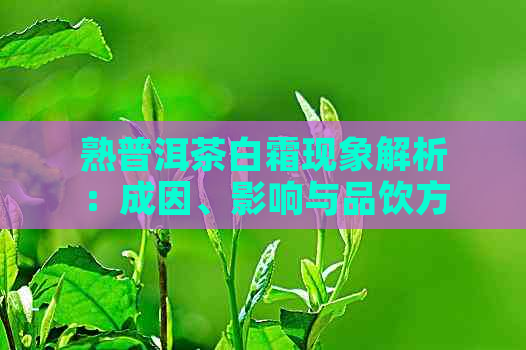 熟普洱茶白霜现象解析：成因、影响与品饮方法全面了解