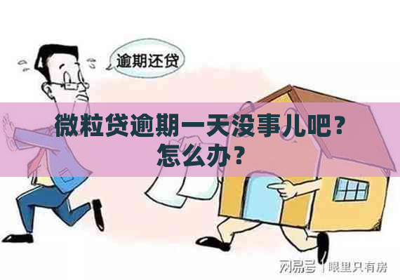 微粒贷逾期一天没事儿吧？怎么办？