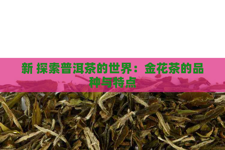 新 探索普洱茶的世界：金花茶的品种与特点