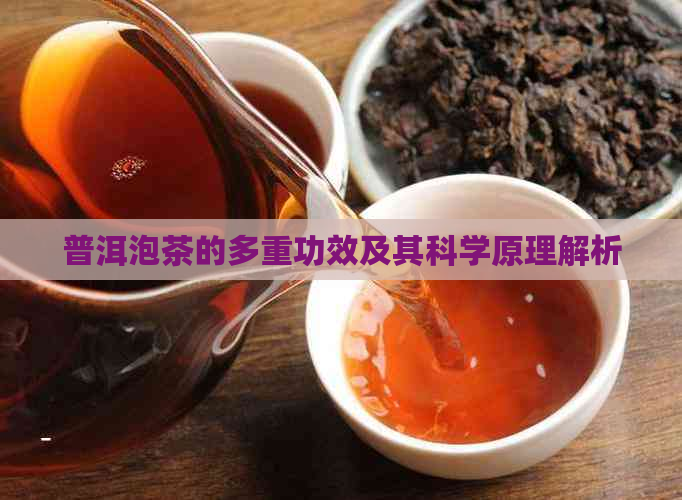 普洱泡茶的多重功效及其科学原理解析