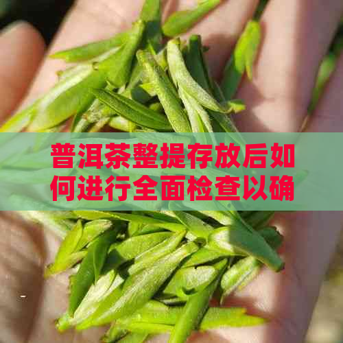 普洱茶整提存放后如何进行全面检查以确保品质？解答常见问题与建议