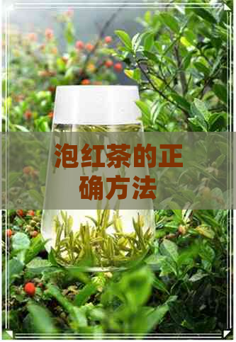 泡红茶的正确方法