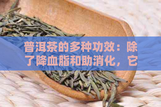 普洱茶的多种功效：除了降血脂和助消化，它能否缓解头痛？