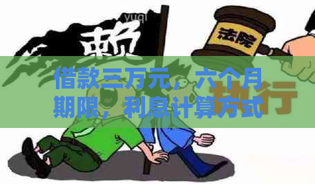 借款三万元，六个月期限，利息计算方式解析