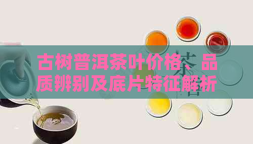 古树普洱茶叶价格、品质辨别及底片特征解析