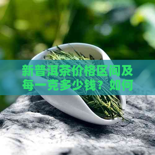 新普洱茶价格区间及每一克多少钱？如何判断普洱茶的品质和价值？