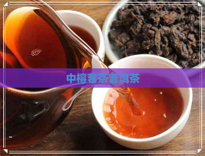 中榕茗茶普洱茶