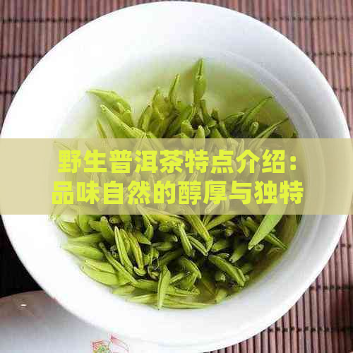 野生普洱茶特点介绍：品味自然的醇厚与独特