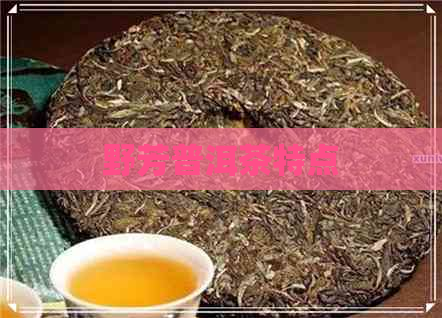 野芳普洱茶特点