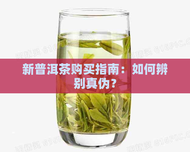 新普洱茶购买指南：如何辨别真伪？