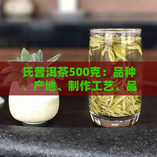 氏普洱茶500克：品种、产地、制作工艺、品质特点及品饮方法详解