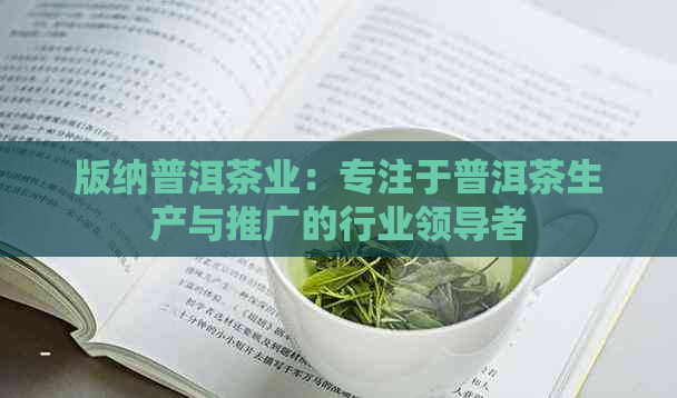 版纳普洱茶业：专注于普洱茶生产与推广的行业领导者