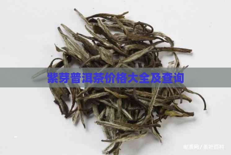 紫芽普洱茶价格大全及查询