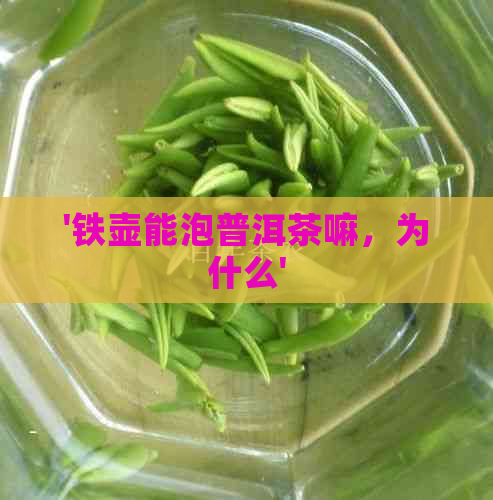 '铁壶能泡普洱茶嘛，为什么'