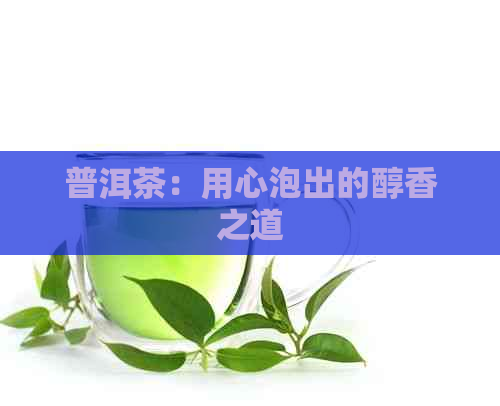 普洱茶：用心泡出的醇香之道