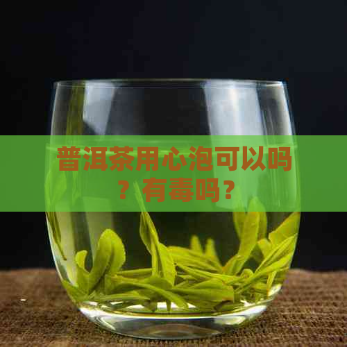 普洱茶用心泡可以吗？有吗？