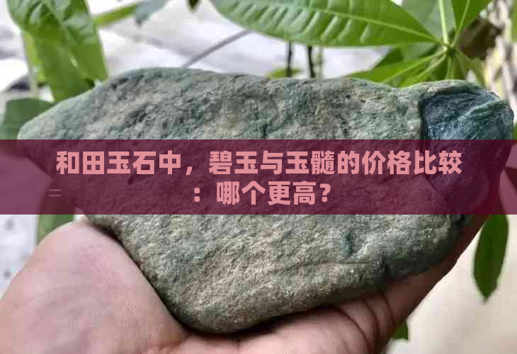 和田玉石中，碧玉与玉髓的价格比较：哪个更高？