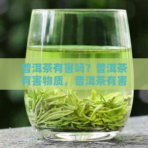 普洱茶有害吗？普洱茶有害物质，普洱茶有害无益，普洱茶能喝吗？