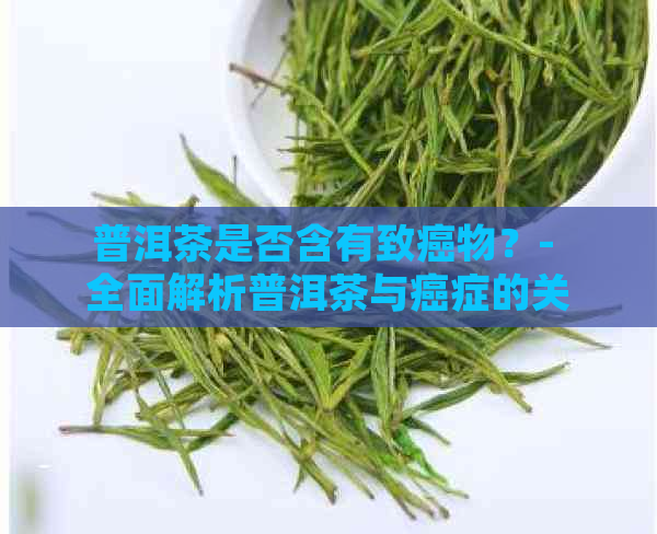 普洱茶是否含有致癌物？- 全面解析普洱茶与癌症的关系