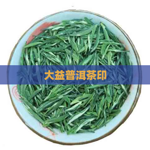 大益普洱茶印