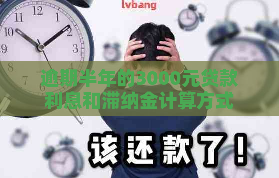 逾期半年的3000元贷款利息和滞纳金计算方式